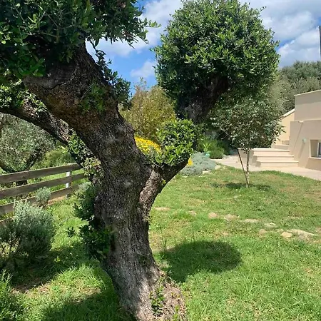 Agraria 2 Bedroom * Tsilivi (Zakynthos)