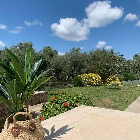 Apartment Agraria 2 Bedroom Tsilivi (Zakynthos)